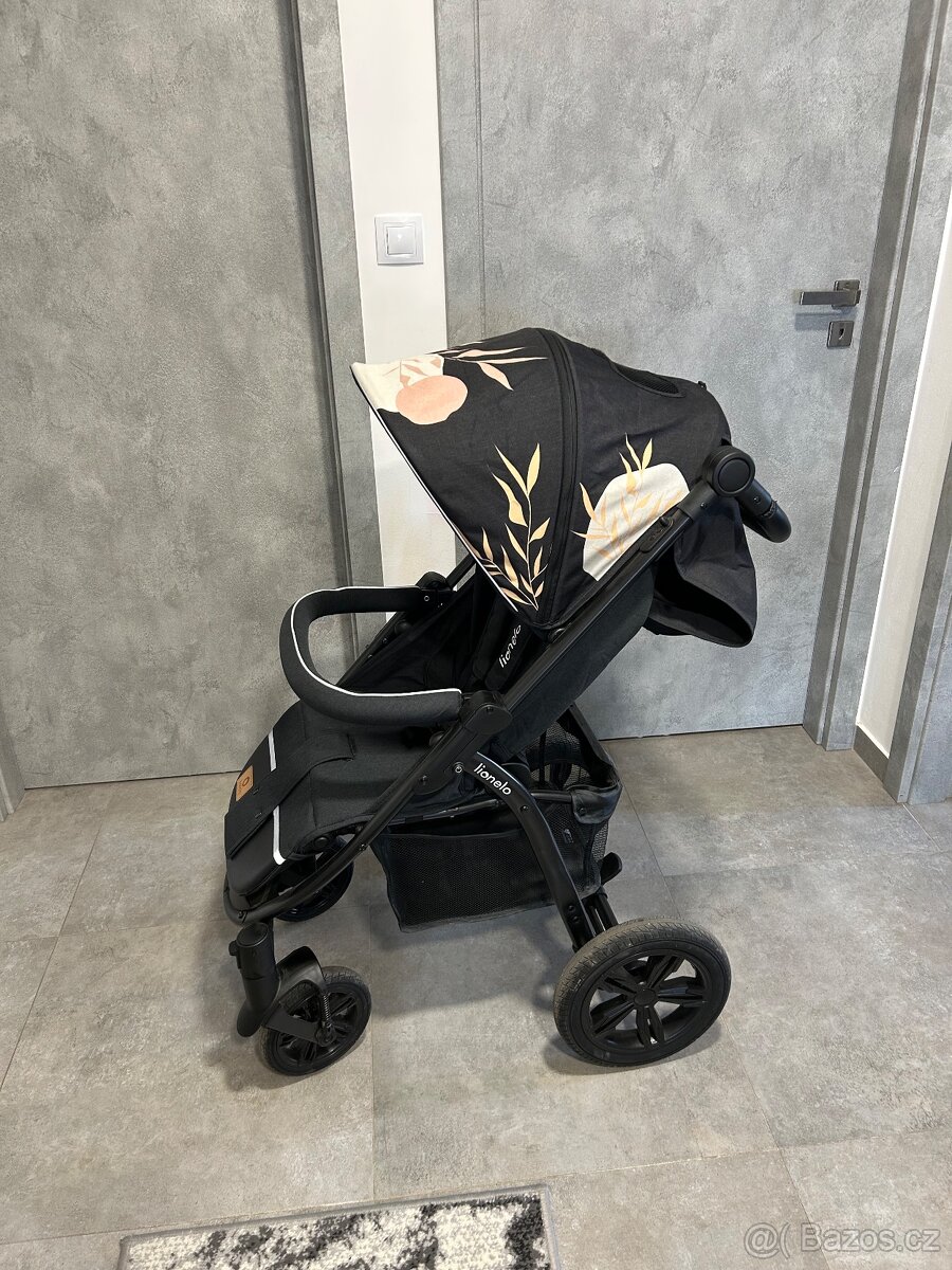 Kocarek Lionelo
