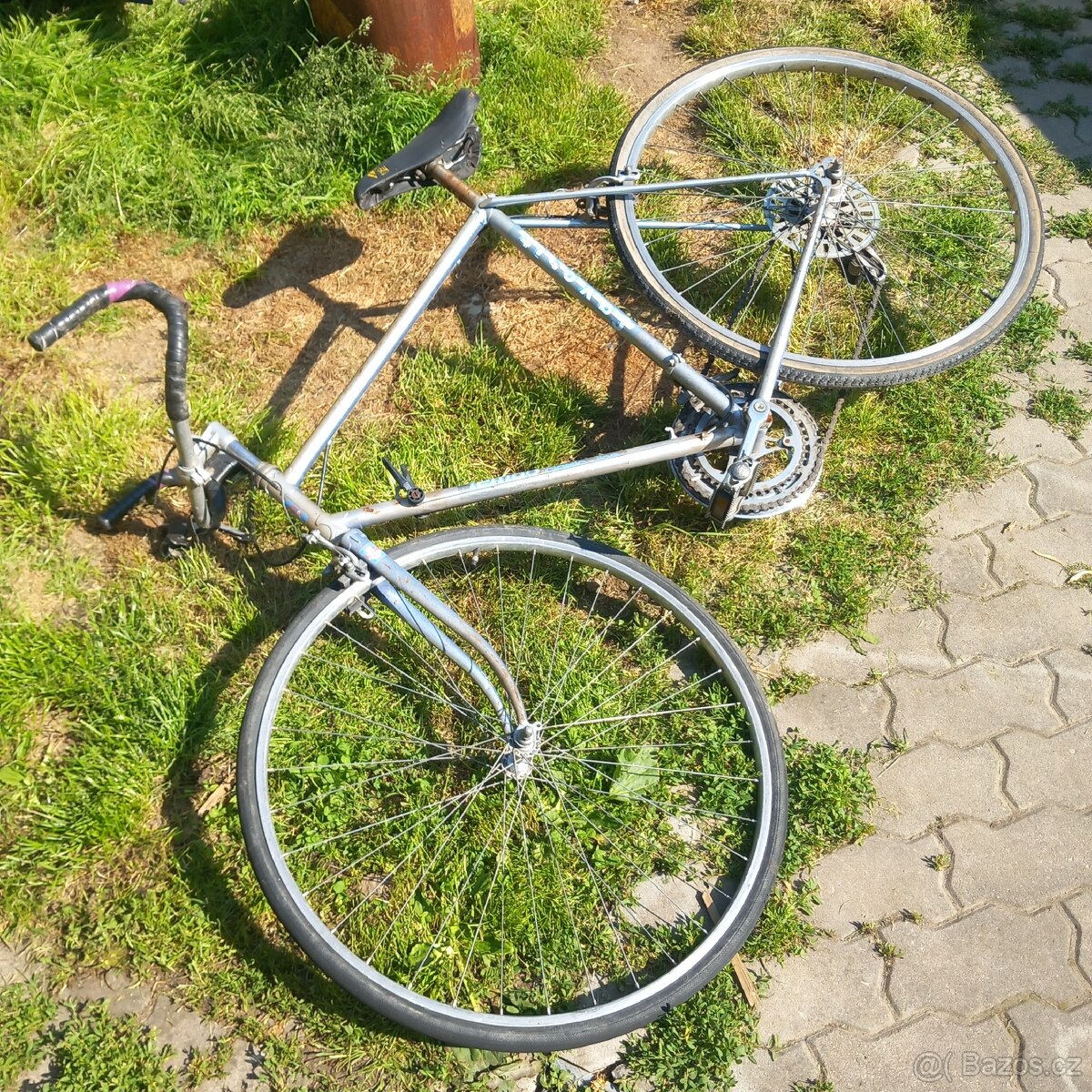 Kolo favorit