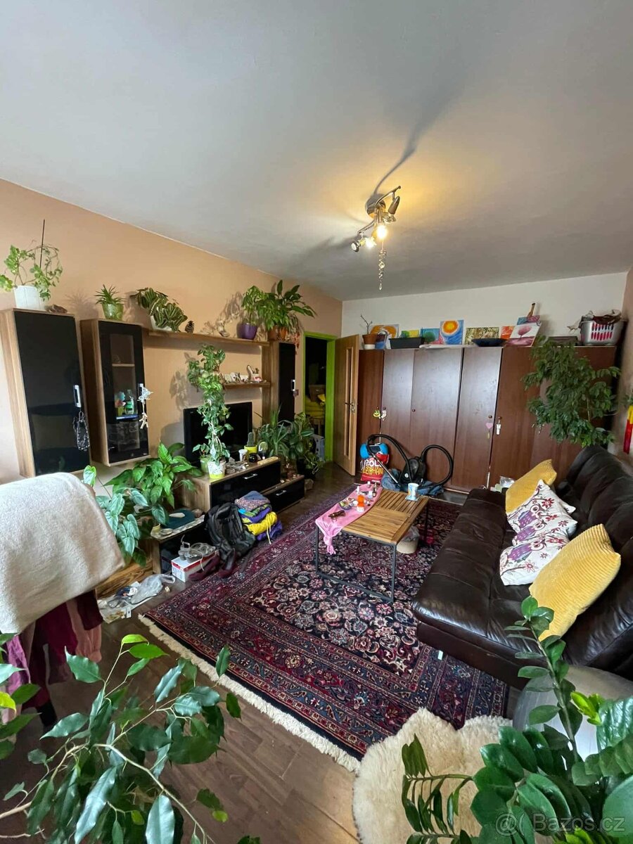 Ručně tkaný perský koberec(Irák)