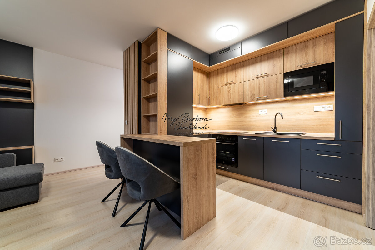 Pronájem novostavby 2+kk s balkonem a parkovacím místem, Zbů