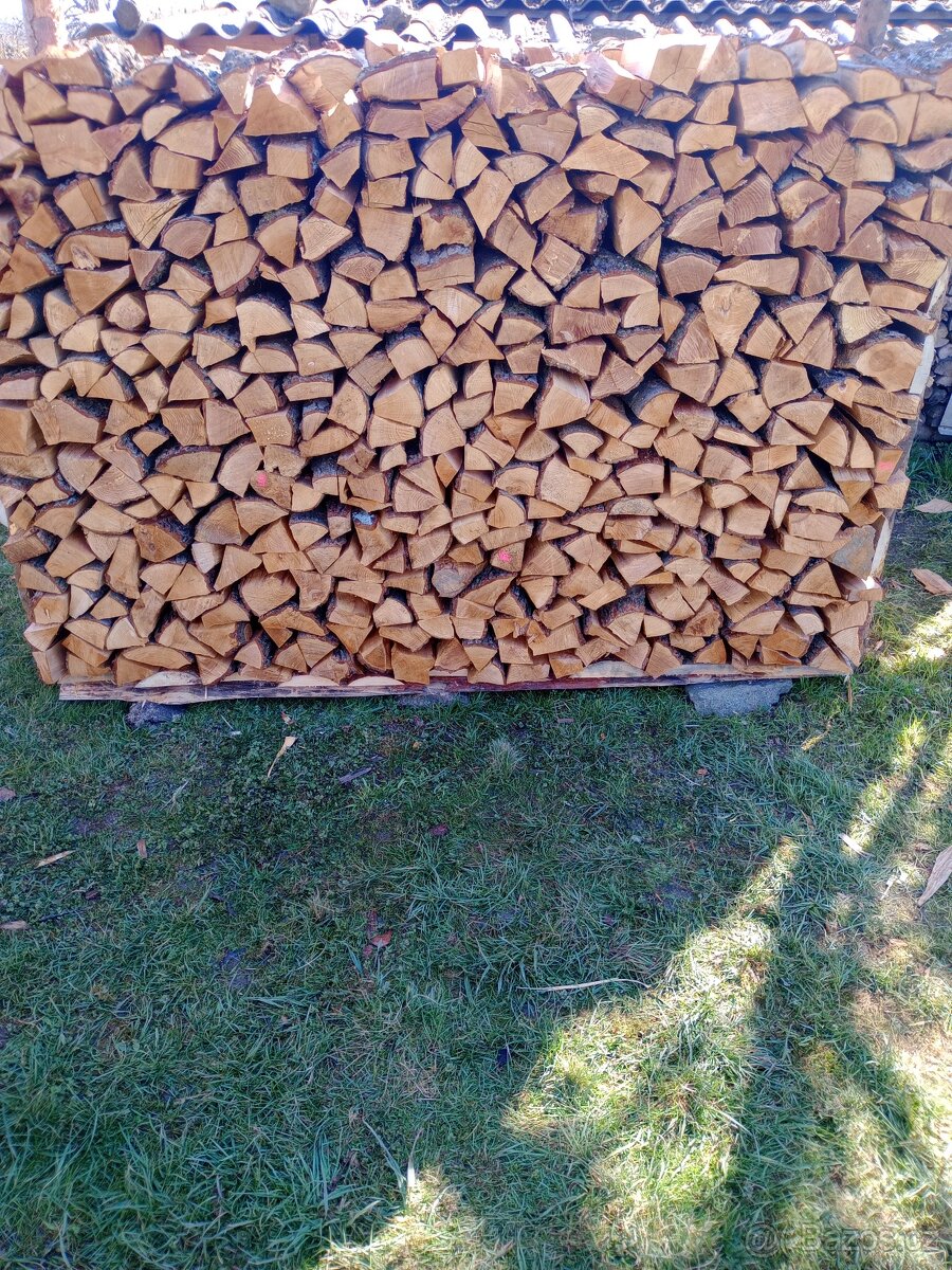 Olšové dřevo