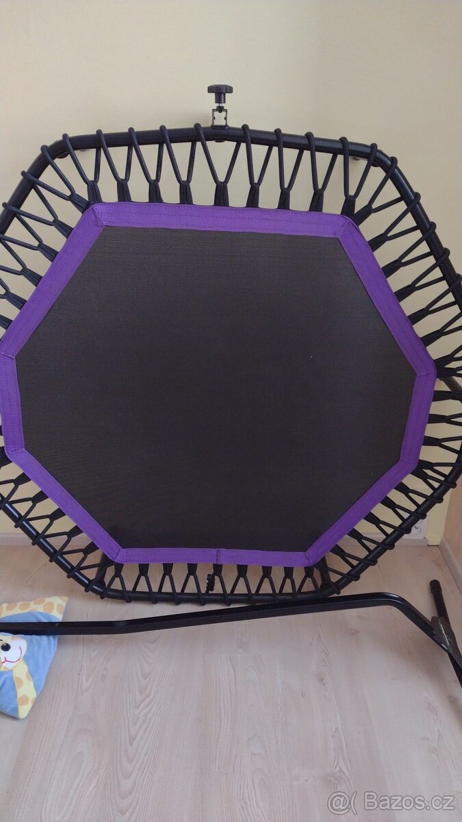 Sportovní trampolína