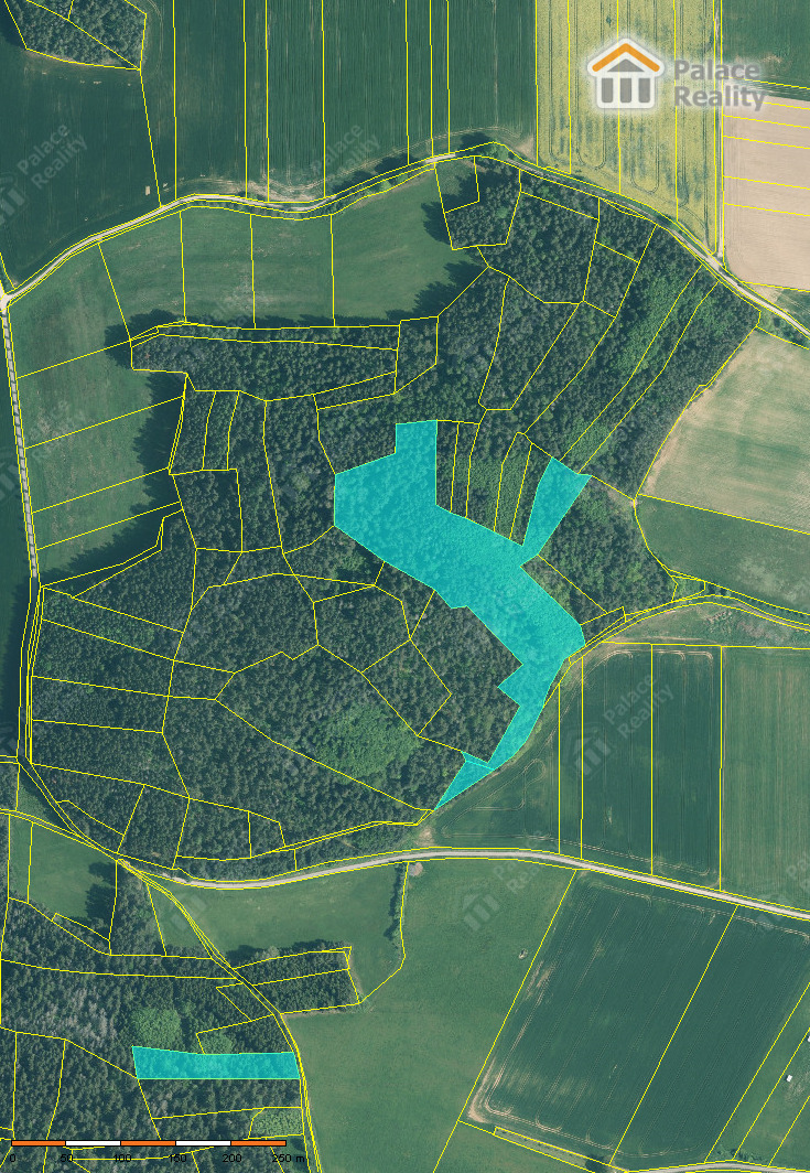 Prodej lesa 40.909 m2, obec Skály, okr. Strakonice