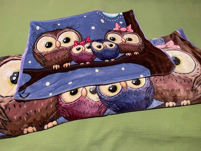 Mikroplyšové povlečení Microdream Flanel (Apextextil)