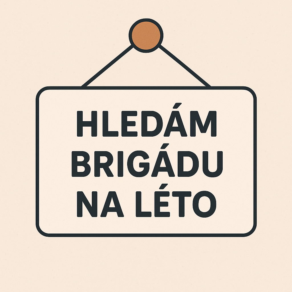 Brigáda, Hledám brigádu na léto