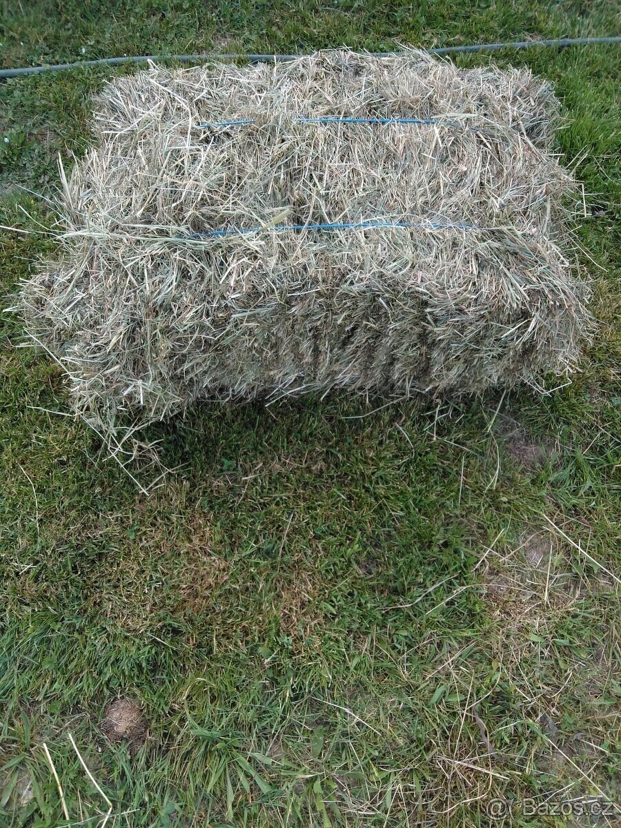Seno malé balíky.