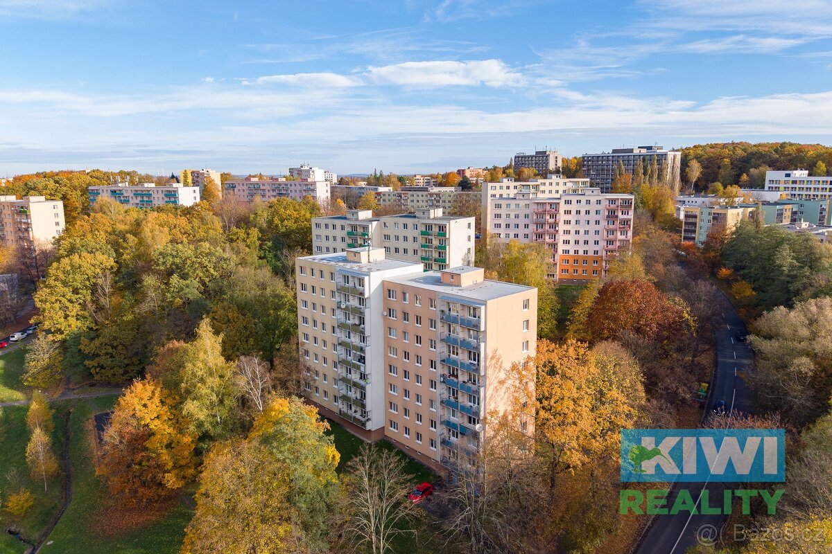 Prodej, byt 2+1, Havířov-Podlesí, ul. Okrajová, ev.č. 1541