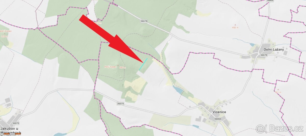 Prodej lesního pozemku Vícenice