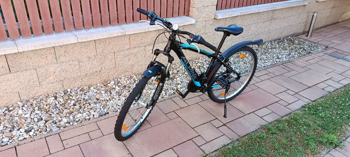 Dětské horské kolo Alpina Eco M10