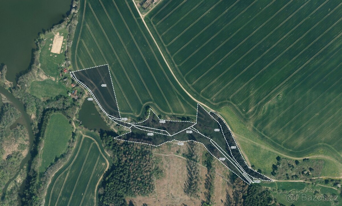 Louka, prodej, Kamberk, Benešov