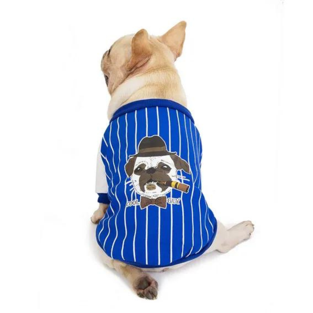 Zimní fleecová bunda pro buldočka - SMALLLEE_LUCKY_Store