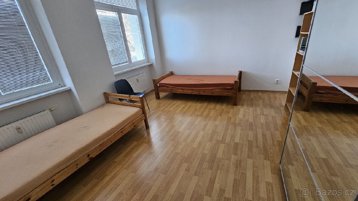 SPOLUBYDLENI
