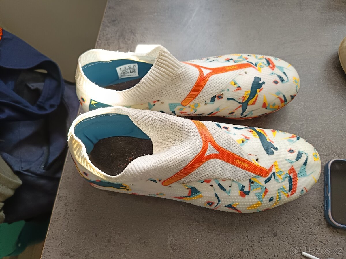 Puma future