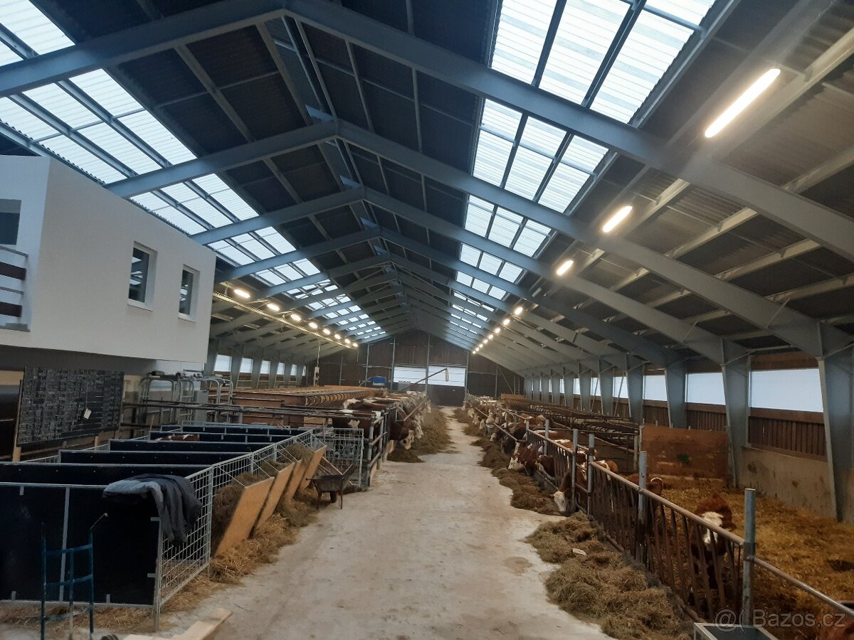 hledáme pracovníka na místo traktoristy i ošetřovatele skotu