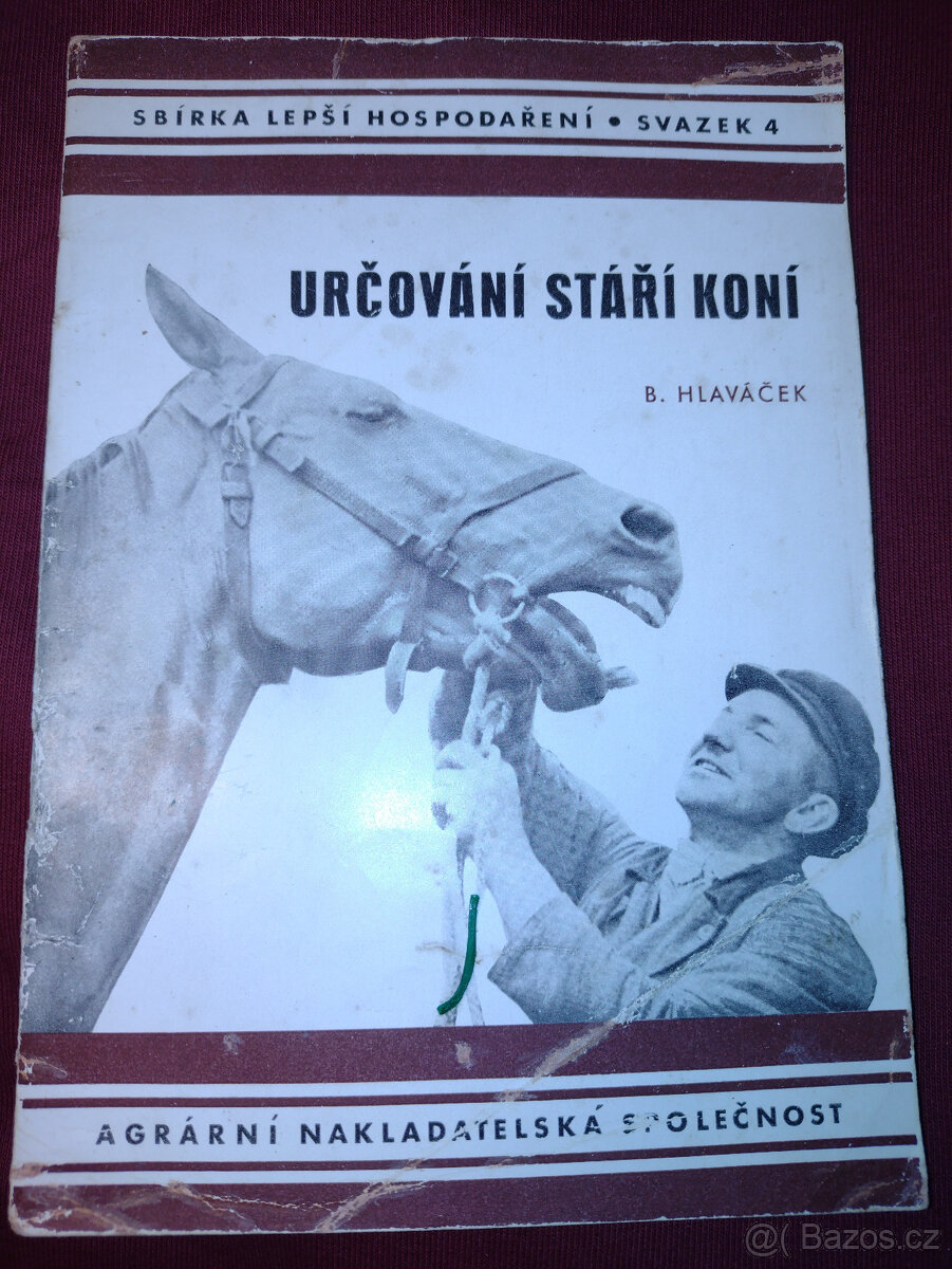 Určování stáří koní