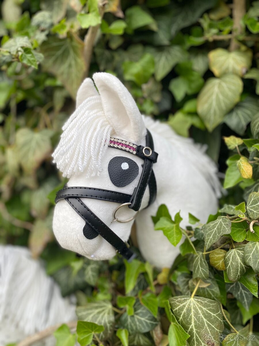 Hobby horse