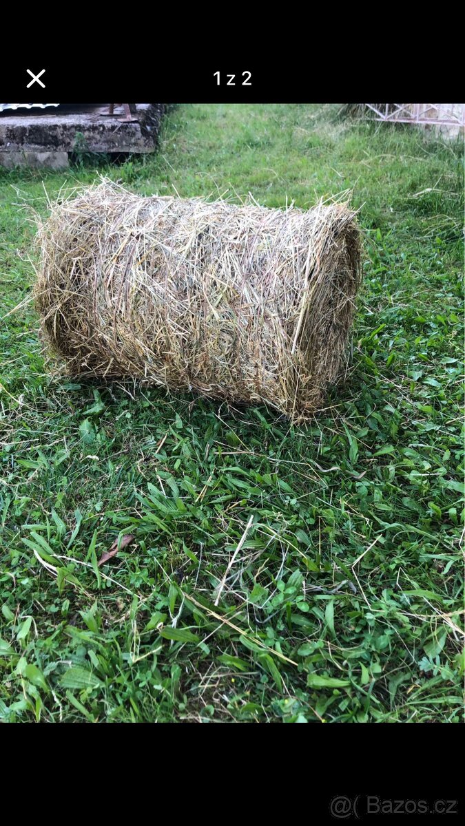 Letošní voňavé seno - menší balíky