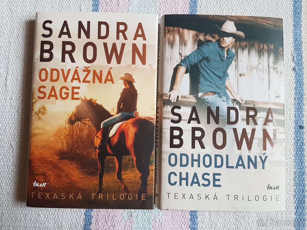 Sandra Brown - Odvážná Sage