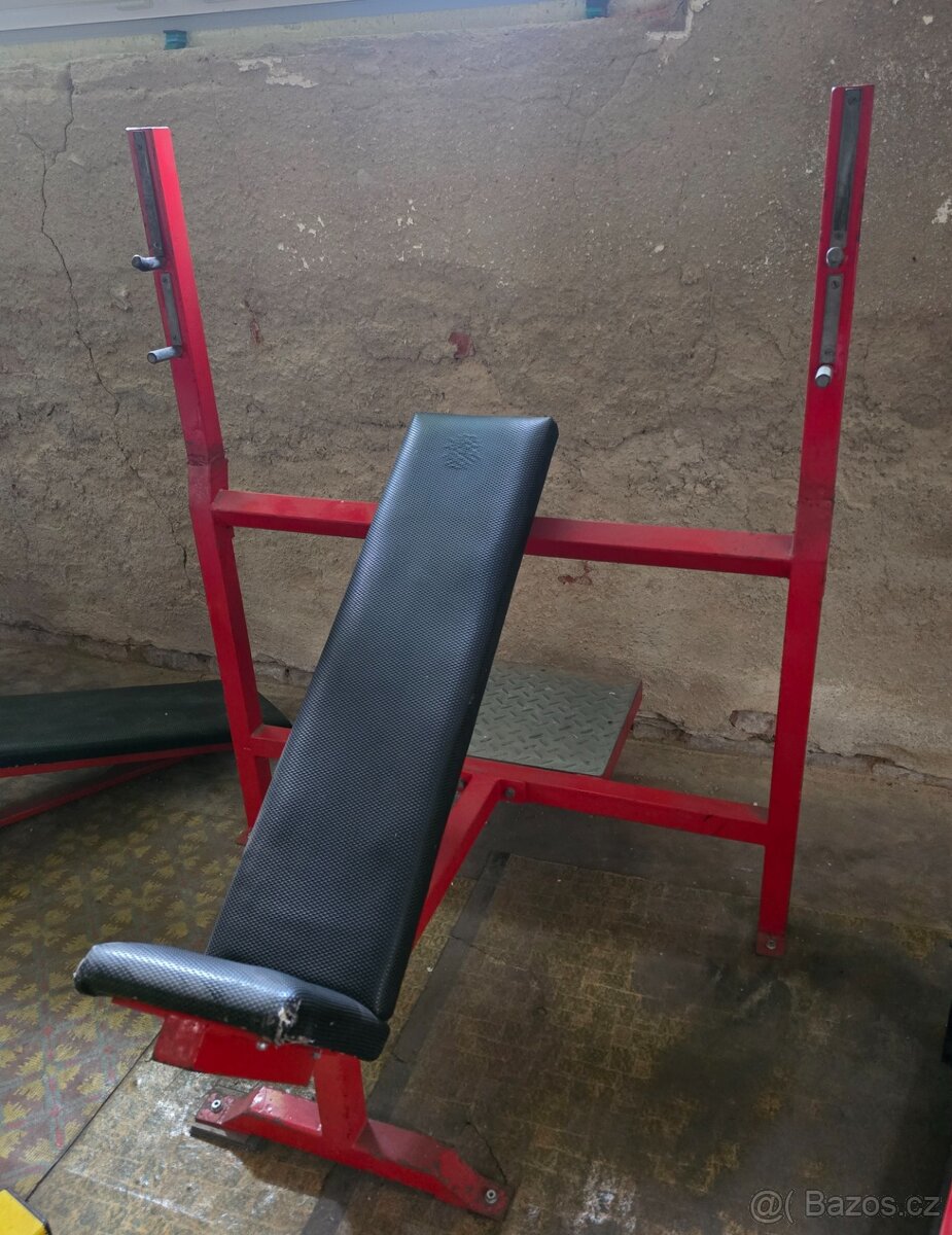 Šikmý bench press