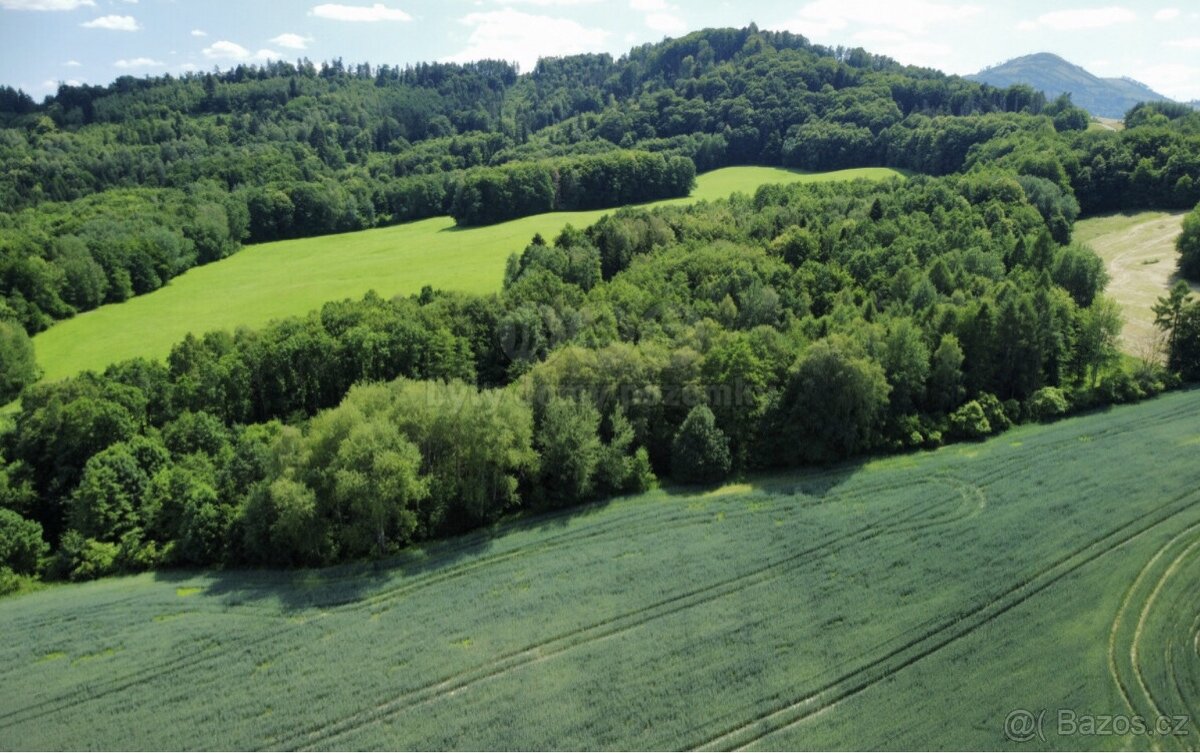 Prodej lesa pole a ostatní plochy 5160 m², Baška Hodoňovice