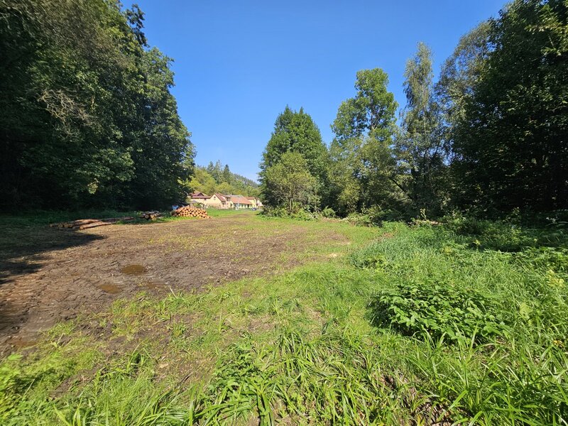Hezký pozemek - zahrada
