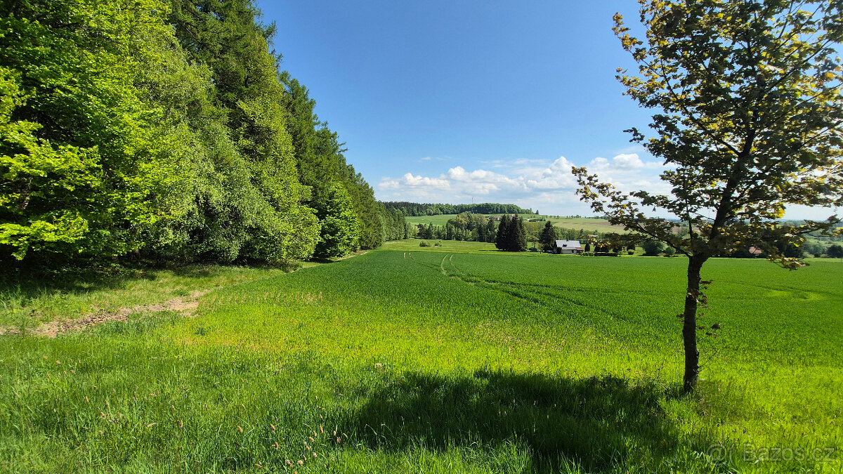 Prodej pozemku 5776 m2 v Borové u Poličky, okr. Svitavy
