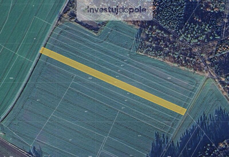 Prodej pole v k.ú. Dalešice u Bakova nad Jizerou