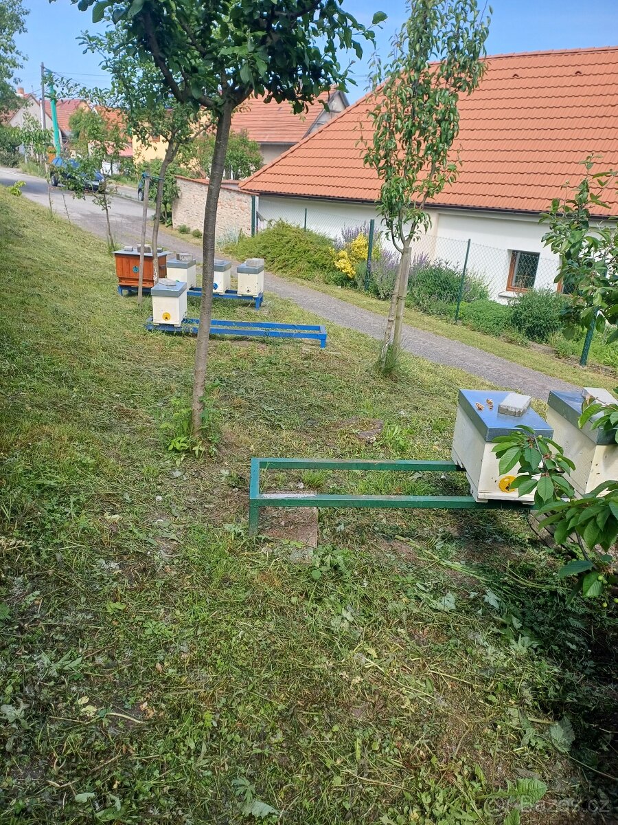 Včelí oddělky