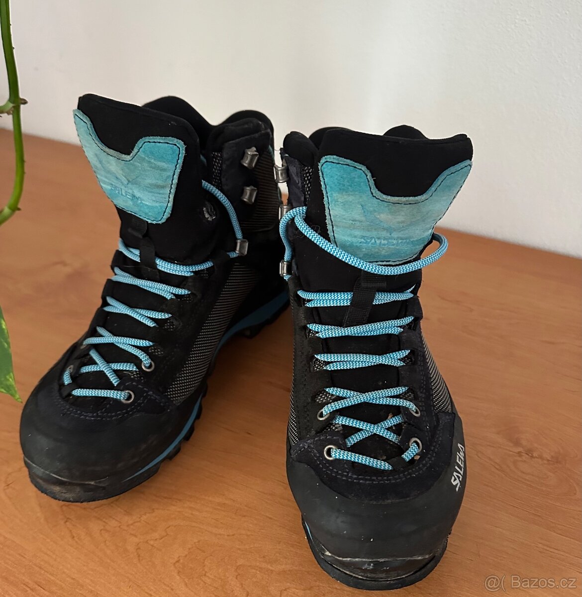 Salewa
