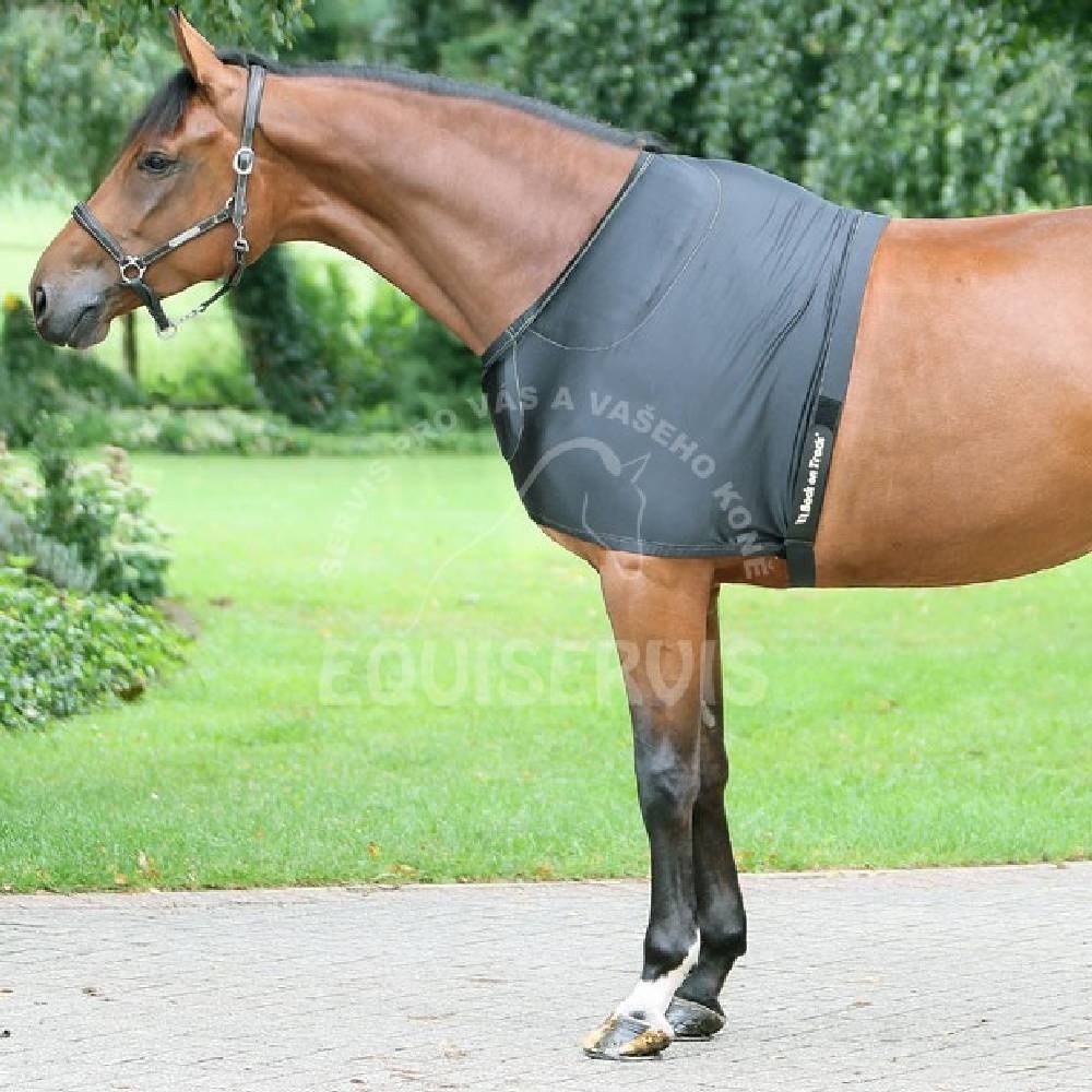 Ramenní chránič Back on Track, Welltex