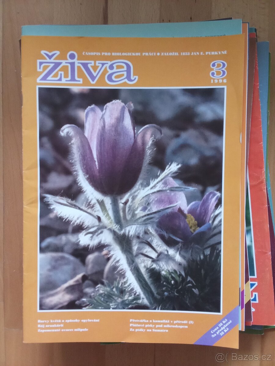Živa