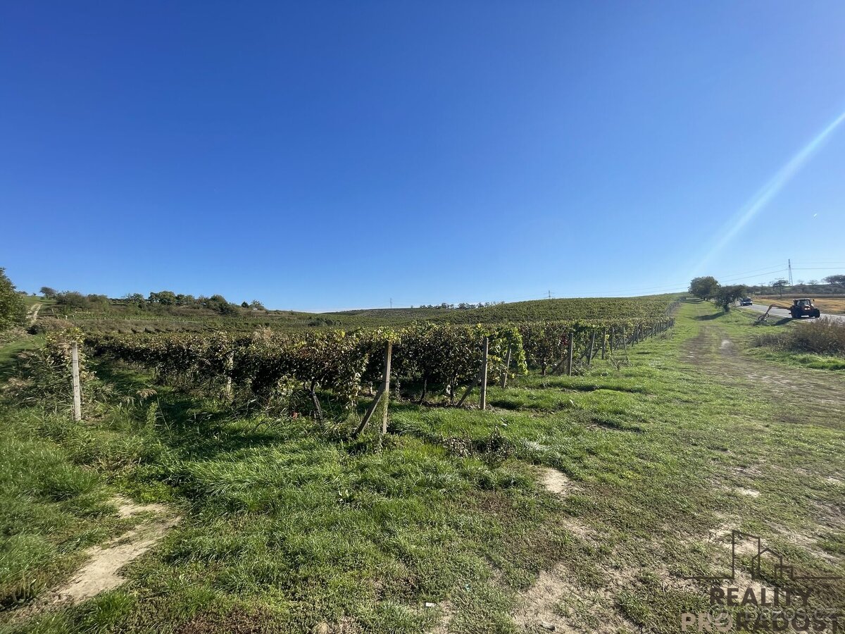 Prodej vinohradu 11340 m2 Čejkovice, Vinohrad 11340 m2 Čejk