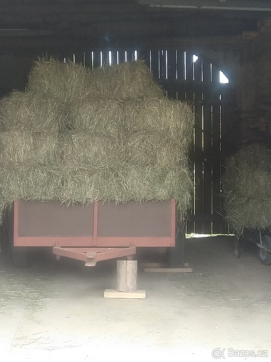Prodám seno malé hranaté balíky