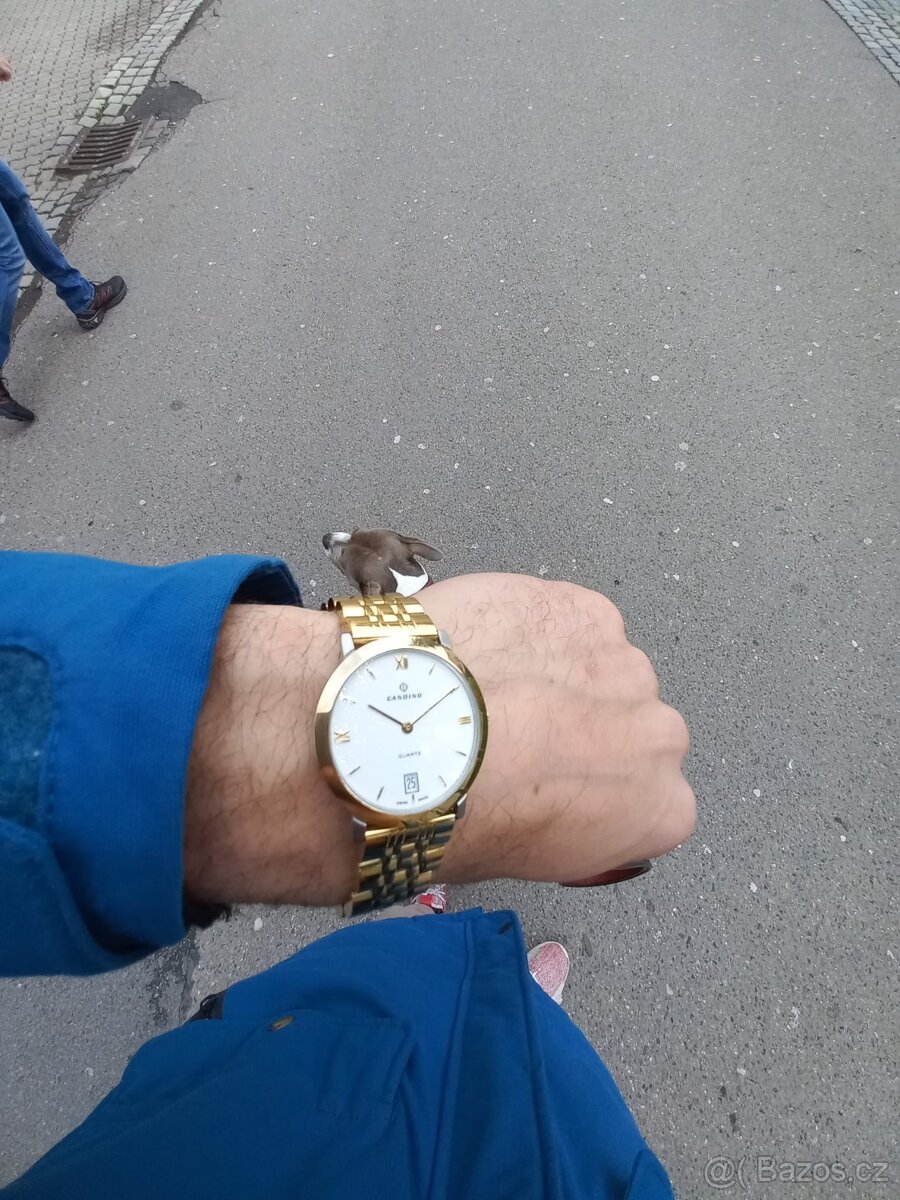 Hodinky Candino Made in Swiss