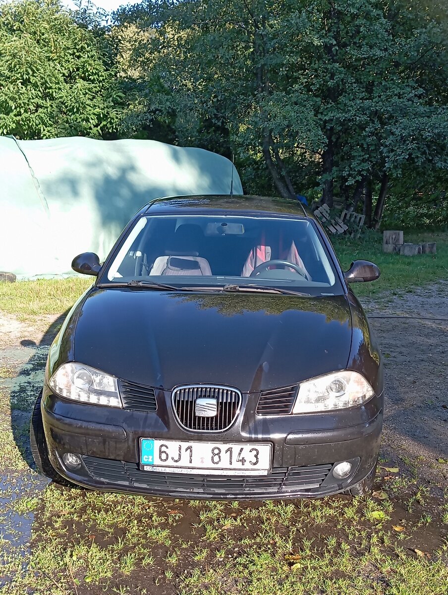 Seat Ibiza 96kw