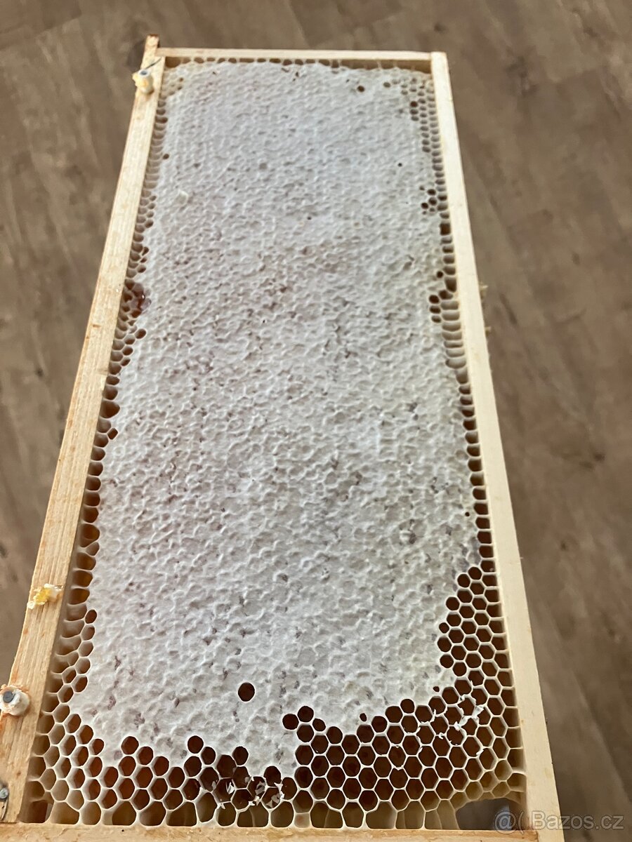 Panenská medová plástev