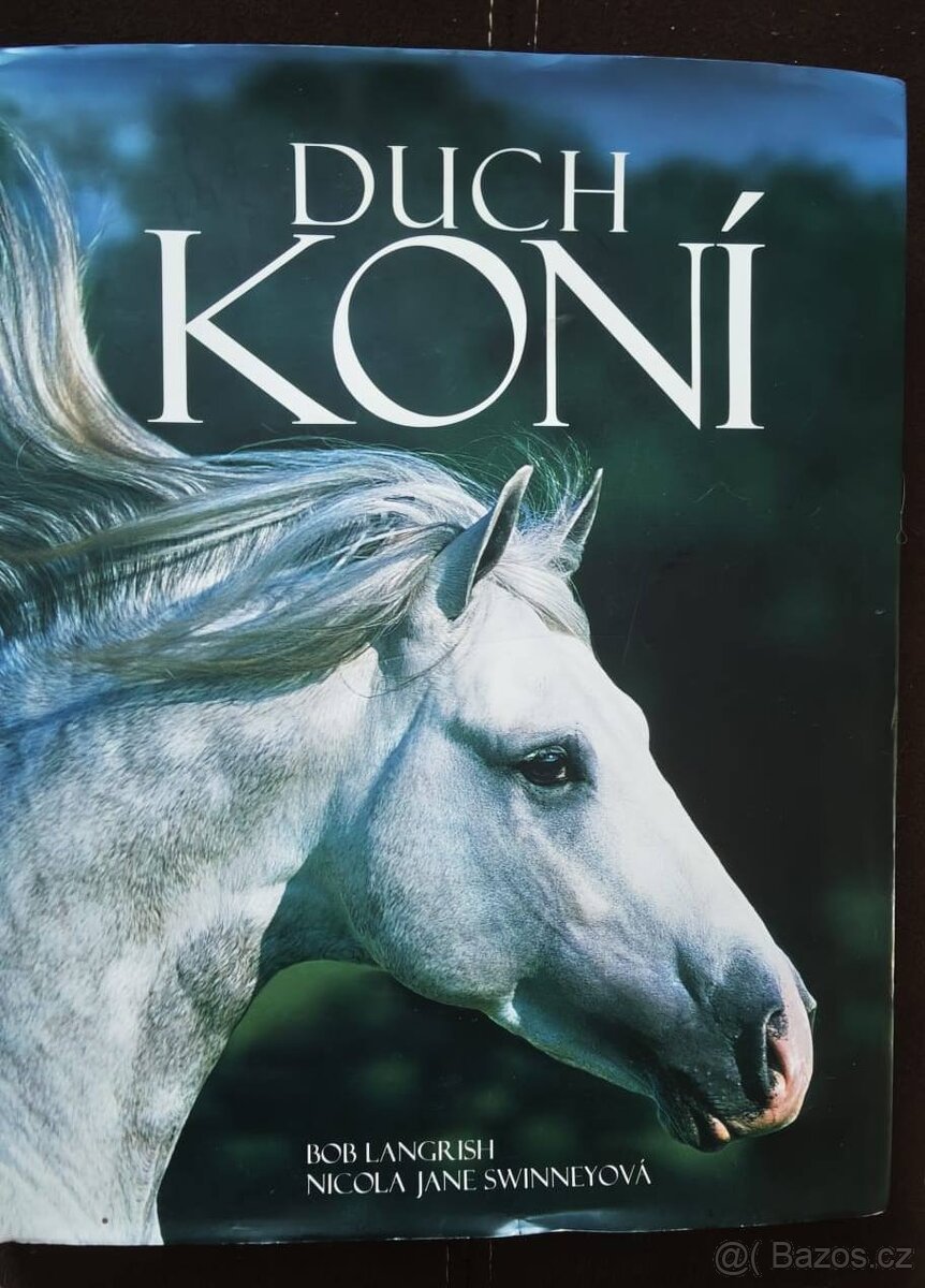kniha Duch koní