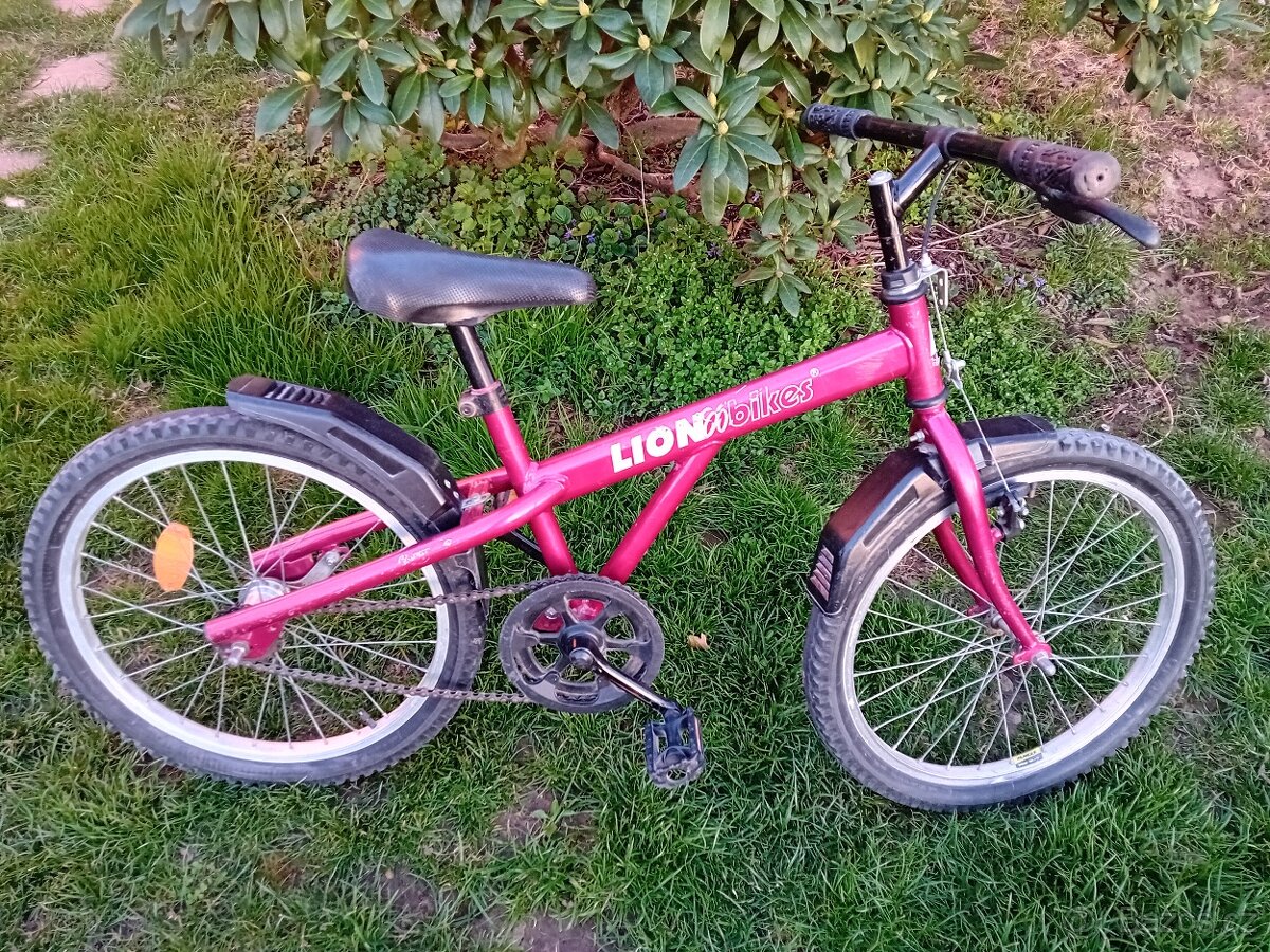 Dětské kolo 20