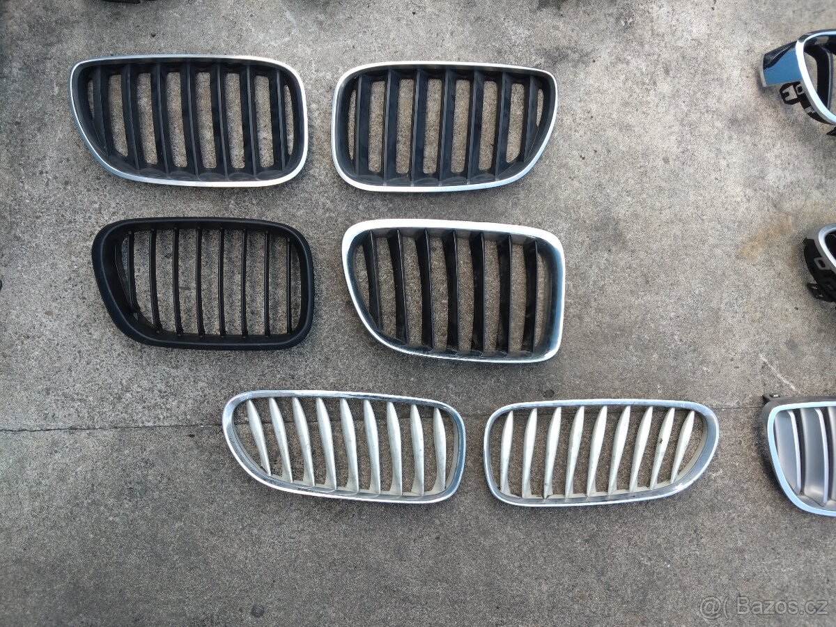 Ledvinky BMW