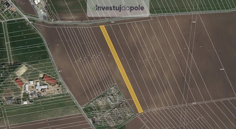 Prodej pole v k.ú. Telnice u Brna