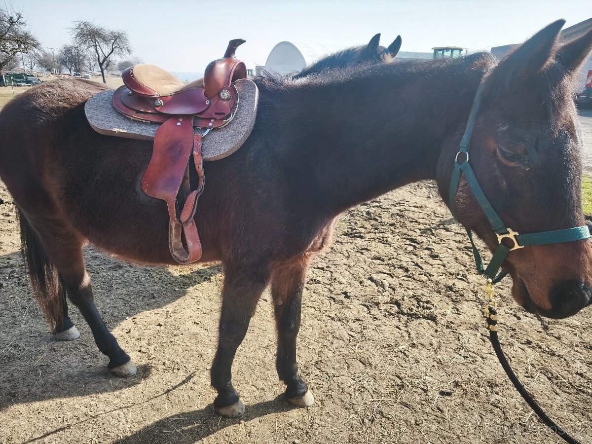 Westernové pony sedlo