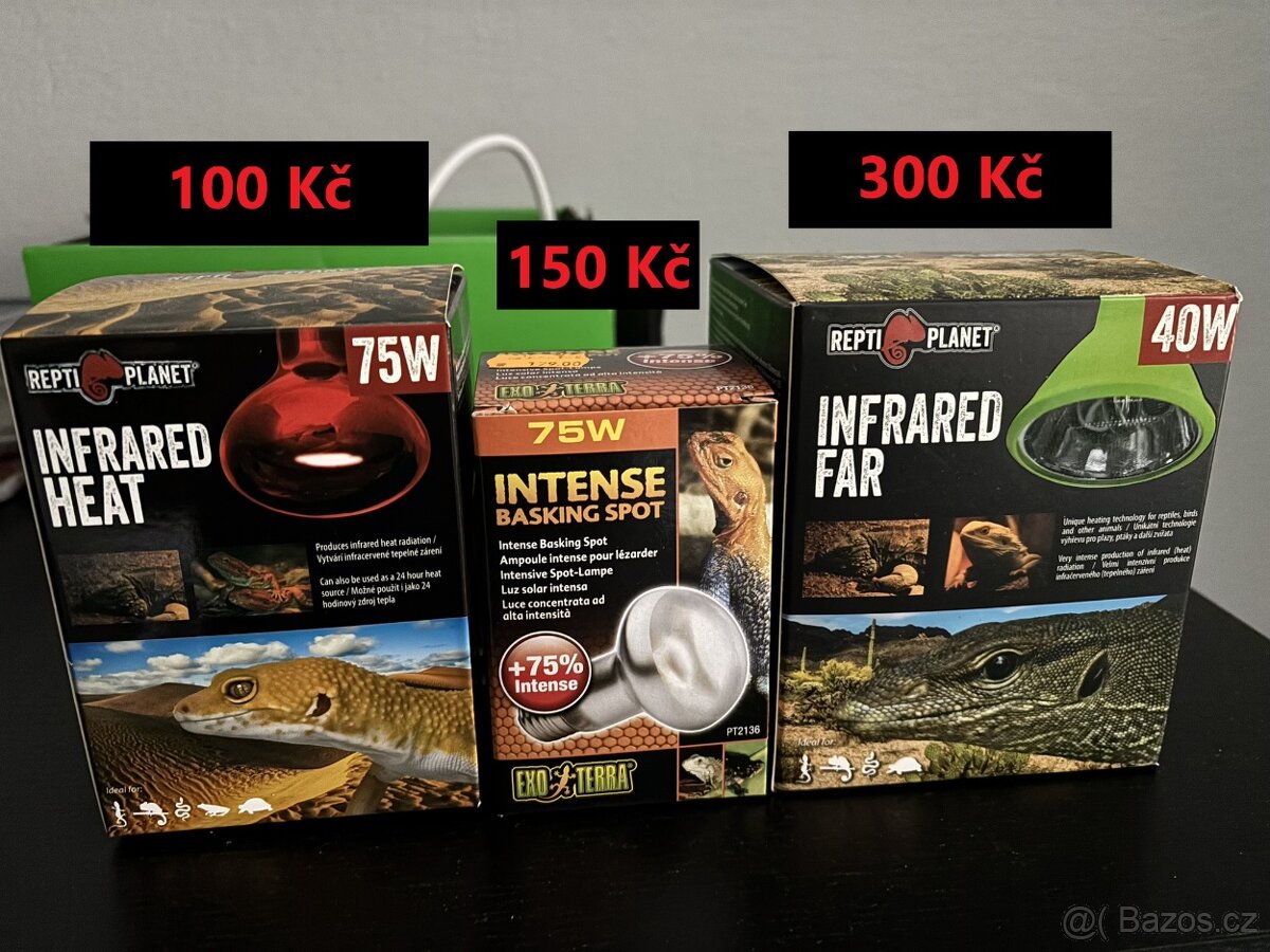 žárovky do terária