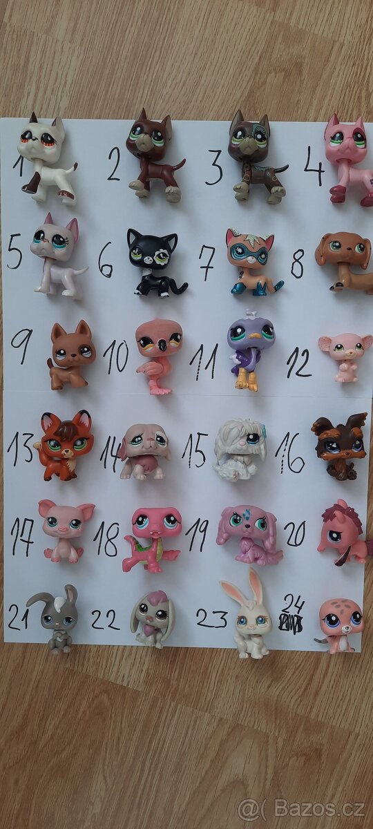 LPS dogy, SHC