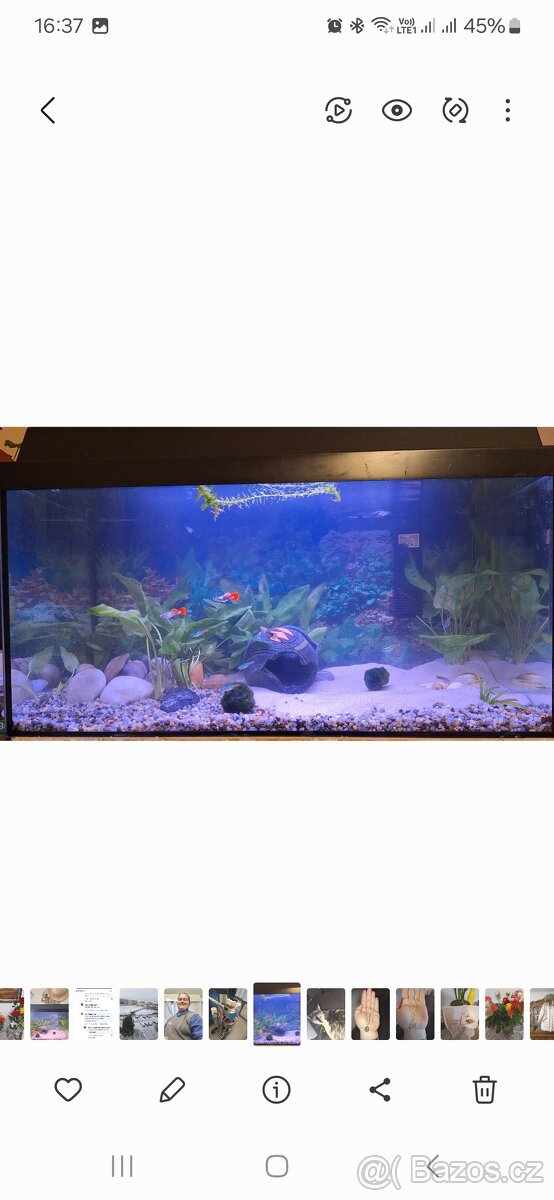 Akvarium s krytem