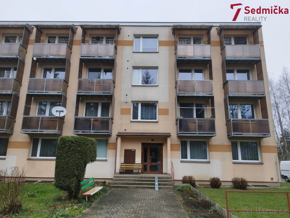 Pronájem, Byty 1+1, 39 m2 - Žďár nad Sázavou, ev.č. 00547
