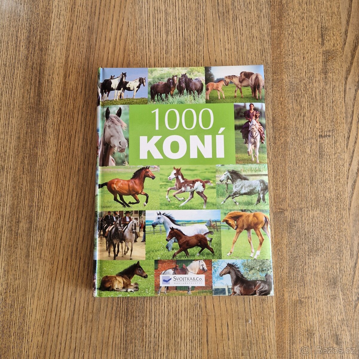 1000 koní (2007)