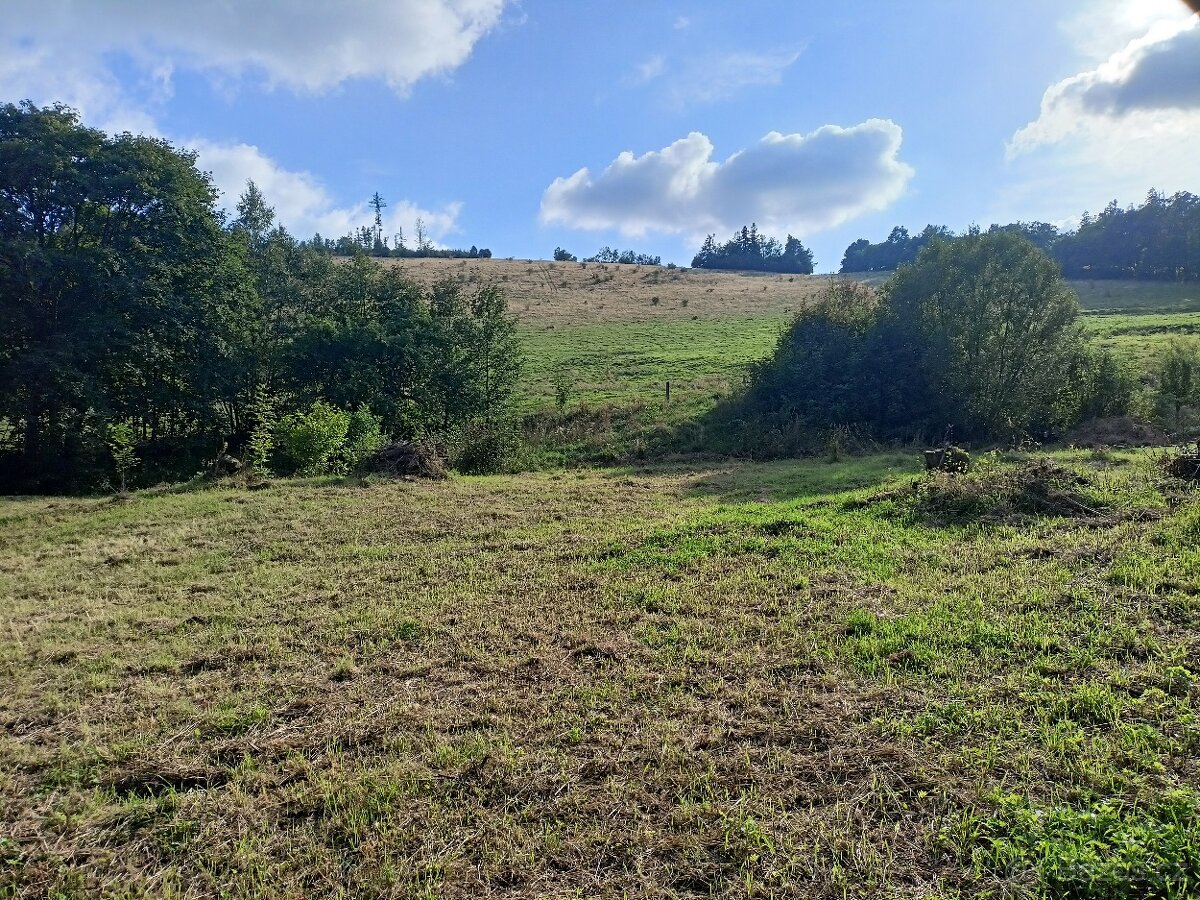 Prodej stavebního pozemku Valštejn (Město Albrechtice).