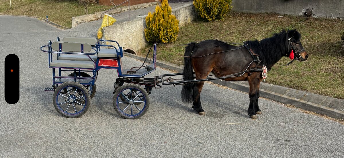 Brička wagoneta pony