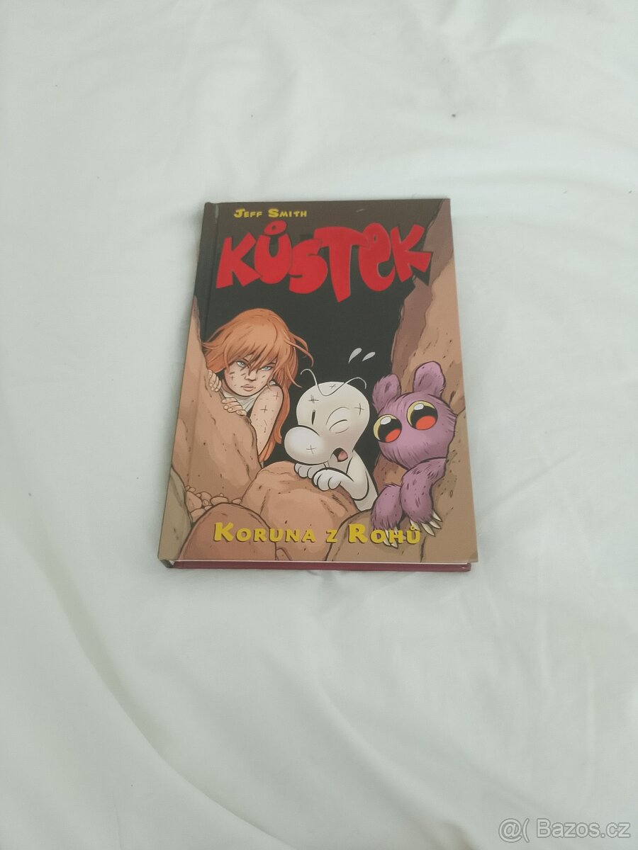 Kniha Kůstek
