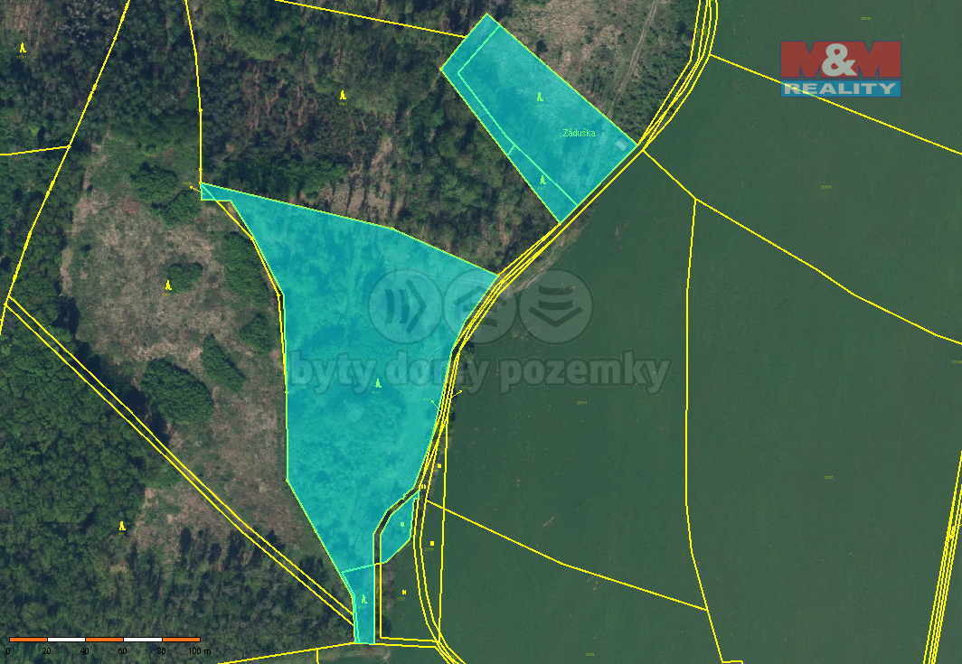 Prodej lesa, 19927 m², Dobruška
